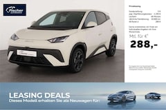 Bild des Angebotes BYD Dolphin Elektro Comfort