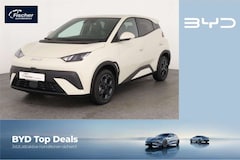 Bild des Angebotes BYD Dolphin Comfort LP: 32.449,- /Top-View/SHZ/DAB