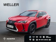 Bild des Angebotes Lexus UX 250h Style Edition *Bi-LED*ACC*CAM*SHZ*CarPlay*