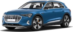 Bild des Angebotes Audi e-tron 55 quattro advanced