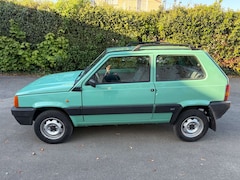 Fiat Panda 4 X 4 TOPGEPFLEGT