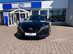Bild des Angebotes Mazda 6 Kombi 2.2 D Sports-Line Autom. HUD*360°*8fach