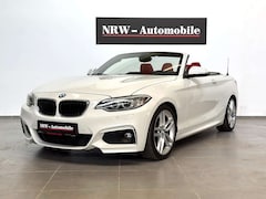 Bild des Angebotes BMW 228 F23*228i Cabrio 228*M-Paket ab WERK*HARMANKARDON*
