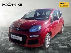 Bild des Angebotes Fiat Panda MY25 1.0 70PS Eurostar Klima PDC