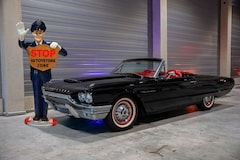 Bild des Angebotes Ford Thunderbird Cabrio, Tonneau Cover, Stoffverdeck