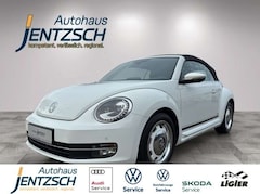 Bild des Angebotes VW Beetle Cabriolet Cup Xenon/Klimaaut./Sitzh.