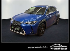Bild des Angebotes Lexus UX 250h Launch Edition ACC*Navi*SHZ*Alufelgen