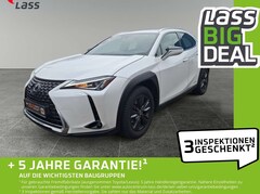 Bild des Angebotes Lexus UX 250h Launch Edition AUT+Kamera+ACC+Navi