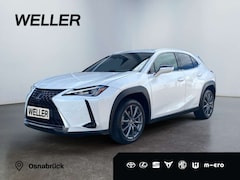 Bild des Angebotes Lexus UX 250h Launch Edition *Navi*LED*CAM*Spurhalteass*