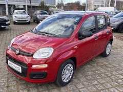 Fiat Panda MY25 1.0 Klima PDC Citypaket