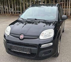 Bild des Angebotes Fiat Panda My Panda