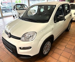 Bild des Angebotes Fiat Panda Base 1.0 GSE Hybrid