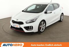 Bild des Angebotes Kia Ceed / cee'd 1.6 TGDI GT-Challenge *TEMP*CAM*PDC*SHZ*ALU*KLIMA*