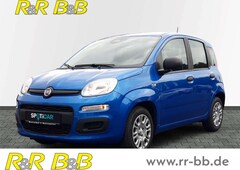 Bild des Angebotes Fiat Panda Base DAB Spurhalteass. Verkehrszeichenerk. Notbrem
