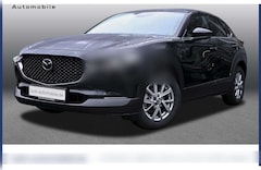 Bild des Angebotes Mazda CX-30 Exclusive-Line NAVI SHZ PDC KLIMA LED BT