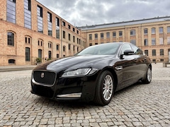 Bild des Angebotes Jaguar XF Pure AUTOMATIK+NAVI+EINPARKHILFE + 8 Reifen