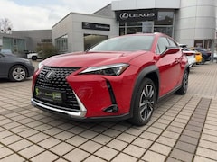 Bild des Angebotes Lexus UX 250h Style Edition *Cloud Navigation*