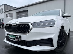 Skoda Fabia 1.0 Active 91€ m.20% Anz. DAB LED PDC SHZ