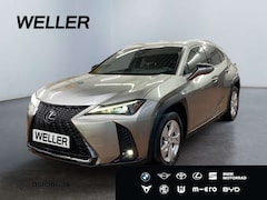 Bild des Angebotes Lexus UX 250h F SPORT Design *Bi-LED*ACC*RCam*SHZ*PDC*