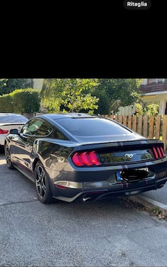 Bild des Angebotes Ford Mustang Fastback 2.3 ecoboost 317cv auto