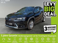 Lexus UX 250h Business Edition *CARPLAY&AA*KAMERA*PDC*