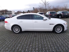 Bild des Angebotes Jaguar XF Pure+Automatik+Standhzg+Klima+SHZ+Navi+Cam+1. Hand