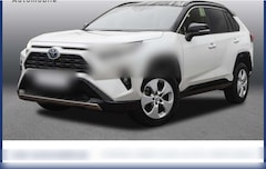 Bild des Angebotes Toyota RAV 4 2.5 Hybrid Style Selection 4x4 NAVI SHZ PDC