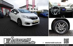 Bild des Angebotes Honda Jazz 1.3 i-VTEC Trend