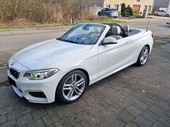 Bild des Angebotes BMW 228 i Cabrio Aut.