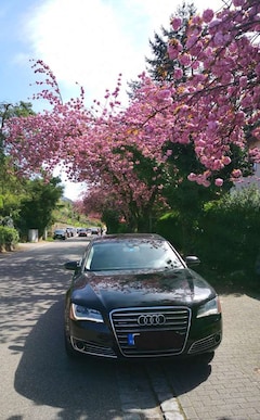 Bild des Angebotes Audi A8 4.2 FSI quattro tiptronic Langversion