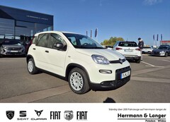 Bild des Angebotes Fiat Panda Pandina Allwetter Klima PDC Radio ++ Frühlings-Spe