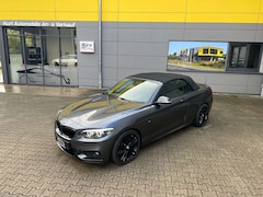 Bild des Angebotes BMW 230 i M Sportpaket/CABRIO/HK SOUNDS*/LED/NAVI