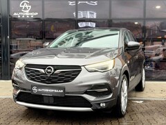 Bild des Angebotes Opel Grandland X Business Innovation Pano/CAM/SHZ