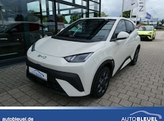Bild des Angebotes BYD Dolphin Surf Comfort 43kWh *Leder*LED*360-Grad*SHZ*Allwetter
