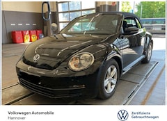 Bild des Angebotes VW Beetle Cabriolet 1.2 TSI PDC SHZ GRA Klima