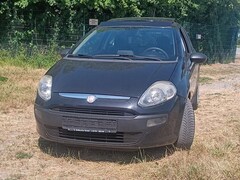 Bild des Angebotes Fiat Punto Evo 1.2 8V Active
