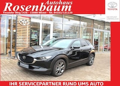 Bild des Angebotes Mazda CX-3 0 Selection AWD*PDC*360C*HEAD-UP*GJR*NAVI*E6