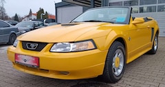 Bild des Angebotes Ford Mustang 3.8i V6 Cabrio Schalter Leder Tempomat
