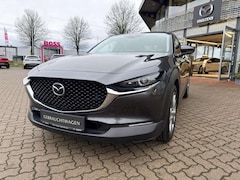 Bild des Angebotes Mazda CX-30 SKYACTIV-G 2.0 150PS M Hybrid Selection Design Pak