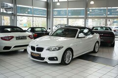 Bild des Angebotes BMW 230 2 Cabrio 230 i M Sport *1.Hand*56tkm*Kamera