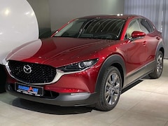 Bild des Angebotes Mazda CX-30 Selection X-186/Design-P./Navi /Head-Up/Keyless/LE