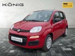 Bild des Angebotes Fiat Panda MY25 1.0 Klima PDC Citypaket