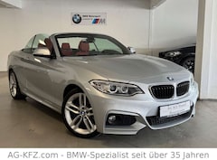 Bild des Angebotes BMW 228 i M Sport Paket Cabrio/DEUTSCH/1.Hand/Leder/