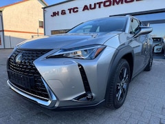 Bild des Angebotes Lexus UX 200 Luxury Line/ACC/LED/Sitzh/Navi/Kamera