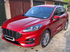 Bild des Angebotes Ford Kuga Kuga 2.5 Duratec FHEV ST-LINE X