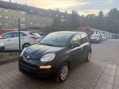 Bild des Angebotes Fiat Panda Easy TÜV NEU*2.HAND*EFH