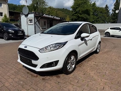 Ford Fiesta Ford Fiesta Celebration TÜV NEU