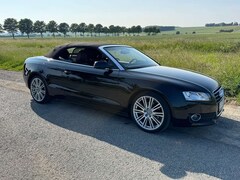 Bild des Angebotes Audi A5 A5 Cabrio Cabrio 2.0 TFSI multitronic