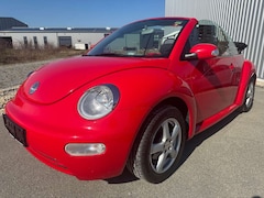 Bild des Angebotes VW New Beetle 1.4 CABRIO *SOMMERFAHRZEUG*AUDIOSYSTEM*WINDSCHOTT*