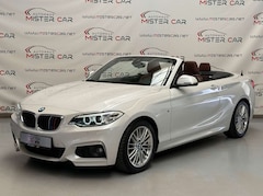 Bild des Angebotes BMW 225 d Cabrio M Sport SAG NAVI/XEN/KEY/AHK/H&K/17